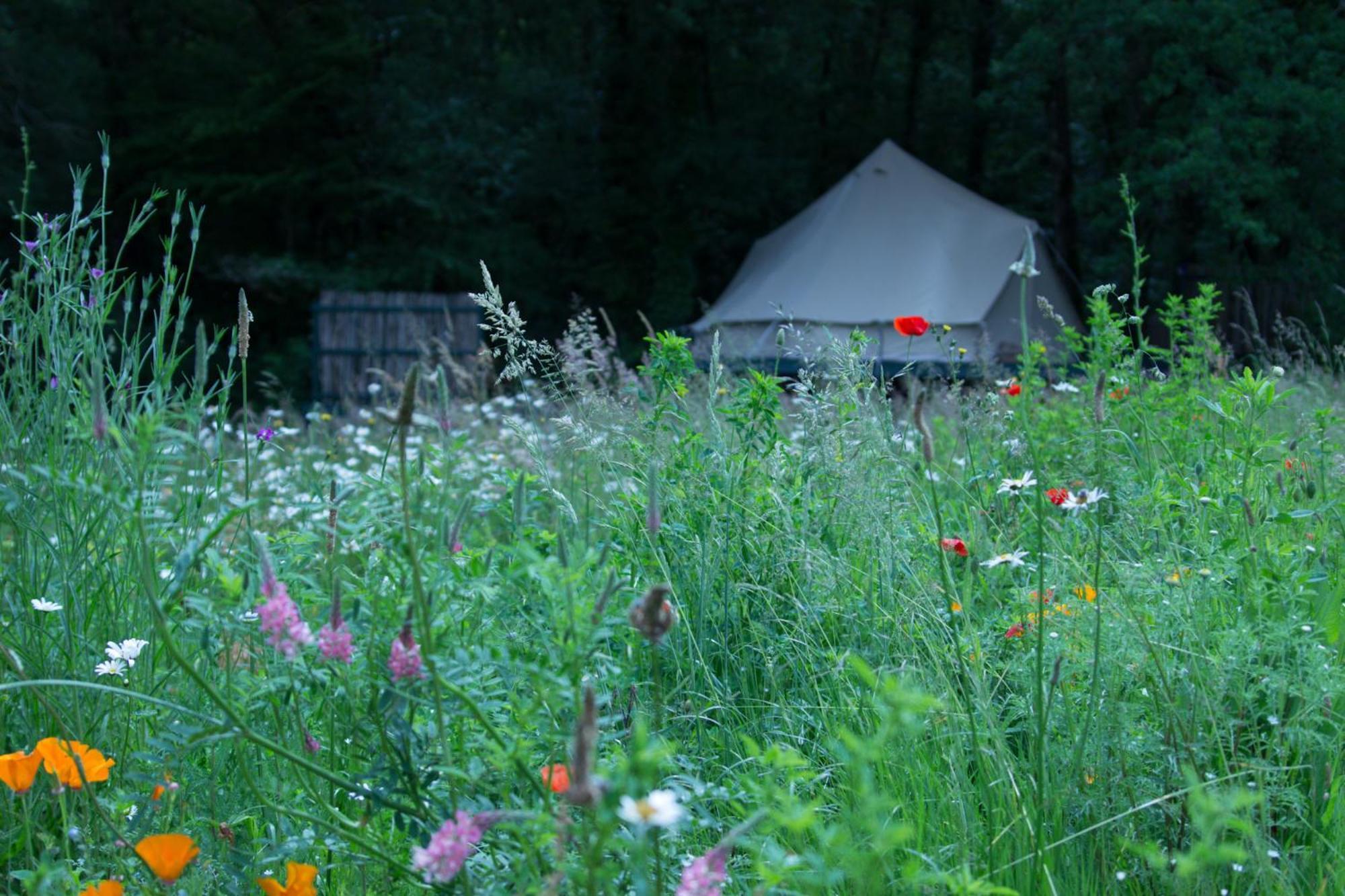 Belair Le Camping Hotel Champagnac-de-Bélair Exterior photo